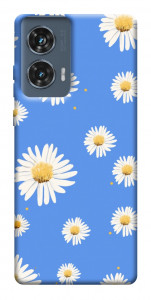 Чехол Chamomile pattern для Motorola Edge 50 Fusion