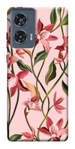 Чехол Floral motifs для Motorola Edge 50 Fusion
