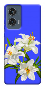 Чехол Three lilies для Motorola Edge 50 Fusion