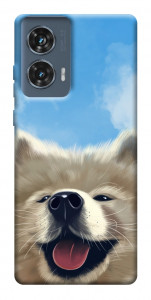 Чехол Samoyed husky для Motorola Edge 50 Fusion