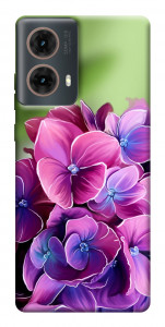 Чехол Кружевная гортензия для Motorola Moto G85