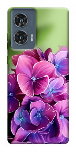 Чехол Кружевная гортензия для Motorola Edge 50 Fusion