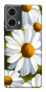 Чехол Ароматная ромашка для Motorola Moto G85