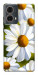 Чехол Ароматная ромашка для Motorola Moto G85