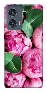 Чехол Пахучие пионы для Motorola Edge 50 Fusion