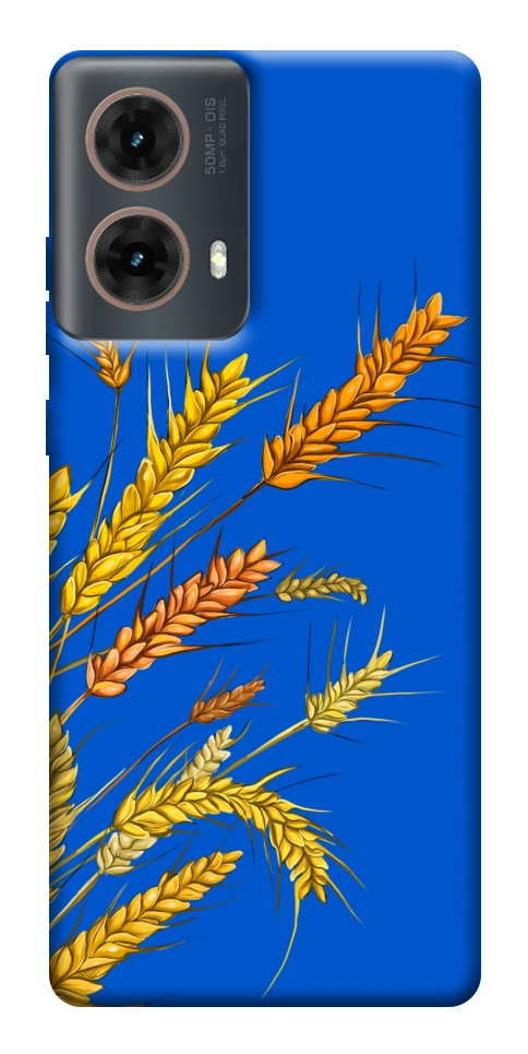 Чехол Колоски для Motorola Moto G85