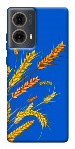 Чехол Колоски для Motorola Moto G85