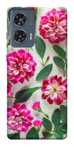 Чехол Floral Elegance для Motorola Edge 50 Fusion