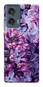 Чехол Violet blossoms для Motorola Edge 50 Fusion