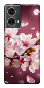 Чехол Sakura для Motorola Moto G85
