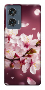 Чехол Sakura для Motorola Edge 50 Fusion