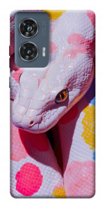 Чохол Colorful Python для Motorola Edge 50 Fusion