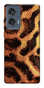 Чохол Snake skin для Motorola Edge 50 Fusion