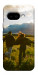 Чехол Happy couple для Google Pixel 9a