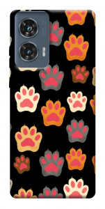 Чохол Colorful Paws для Motorola Edge 50 Fusion