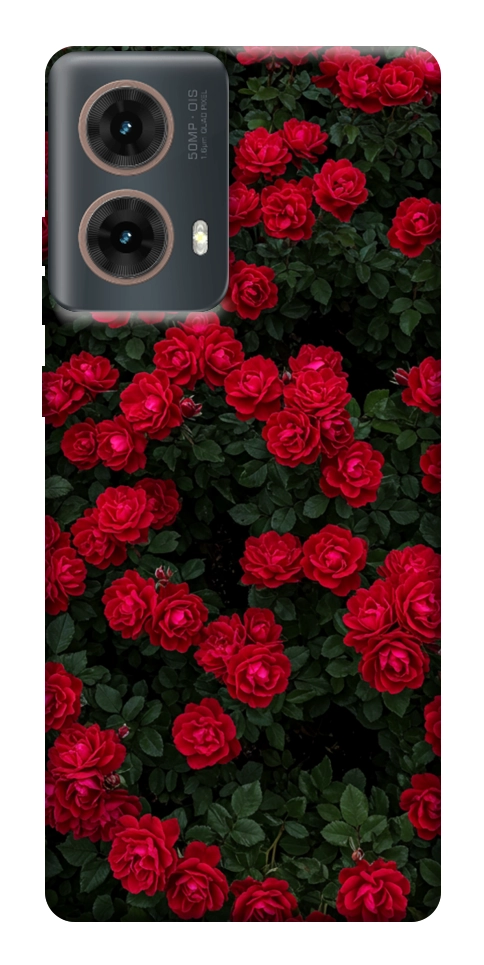 Чехол Eternal roses для Motorola Moto G85