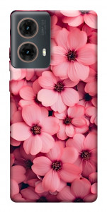 Чехол Pink flowers для Motorola Moto G85
