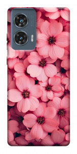 Чохол Pink flowers для Motorola Edge 50 Fusion