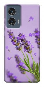 Чохол Lavender purple для Motorola Edge 50 Fusion