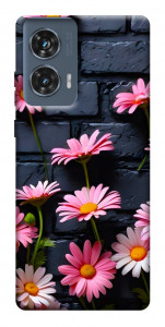 Чохол Рожевий контраст для Motorola Edge 50 Fusion