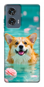 Чохол Swimming corgi для Motorola Edge 50 Fusion