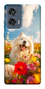 Чохол Happy dog in flowers для Motorola Edge 50 Fusion