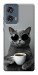 Чохол Grey cat coffee для Motorola Edge 50 Fusion
