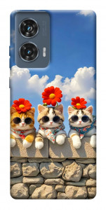 Чохол Flower cats для Motorola Edge 50 Fusion
