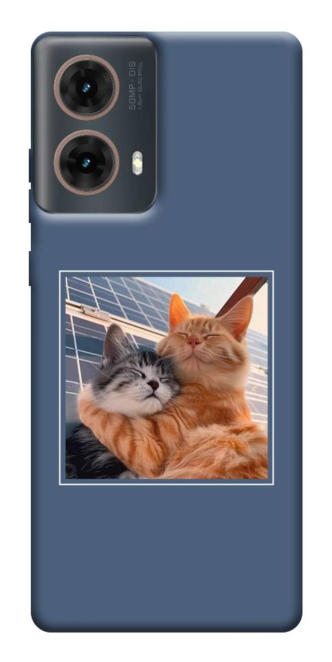 Чехол Кошачья нежность для Motorola Moto G85