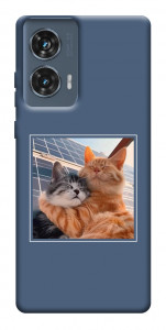 Чохол Котяча ніжність для Motorola Edge 50 Fusion