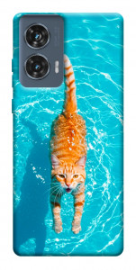 Чохол Cat swimming для Motorola Edge 50 Fusion