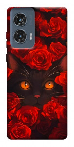 Чохол Rose cat для Motorola Edge 50 Fusion
