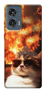 Чохол Cat explosion для Motorola Edge 50 Fusion
