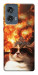 Чохол Cat explosion для Motorola Edge 50 Fusion