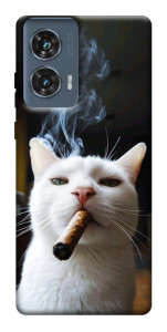 Чохол Cat cigar для Motorola Edge 50 Fusion