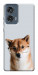 Чохол Smart dog для Motorola Edge 50 Fusion