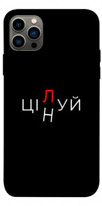 Чохол Цілуй/цінуй для iPhone 12 Pro