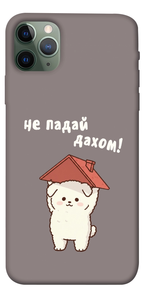 Чехол Не падай дахом для iPhone 11 Pro Max