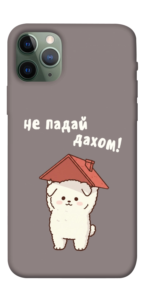 Чехол Не падай дахом для iPhone 11 Pro