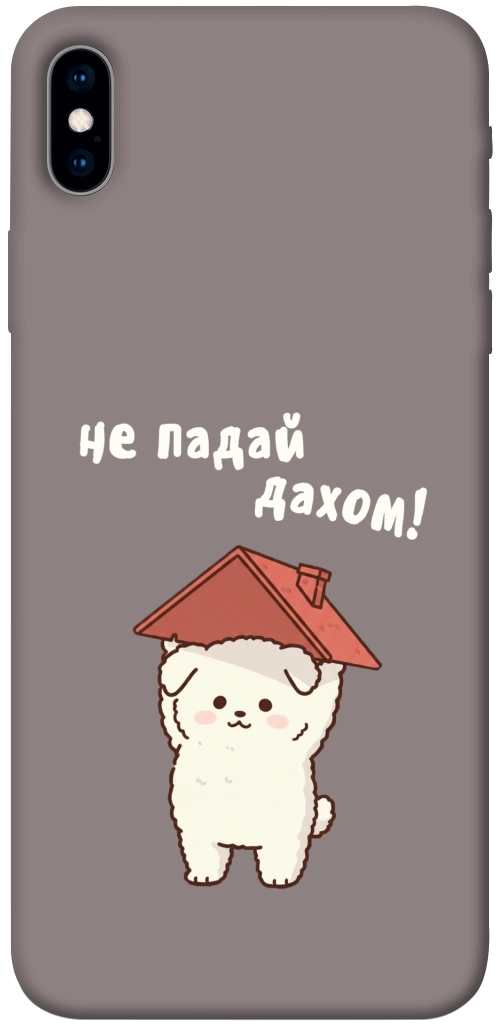 Чехол Не падай дахом для iPhone XS Max