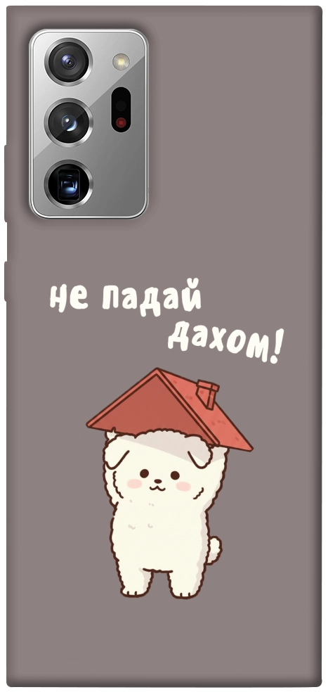 Чехол Не падай дахом для Galaxy Note 20 Ultra
