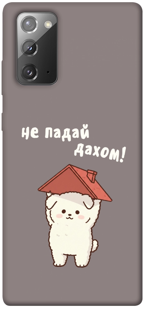 Чохол Не падай дахом для Galaxy Note 20