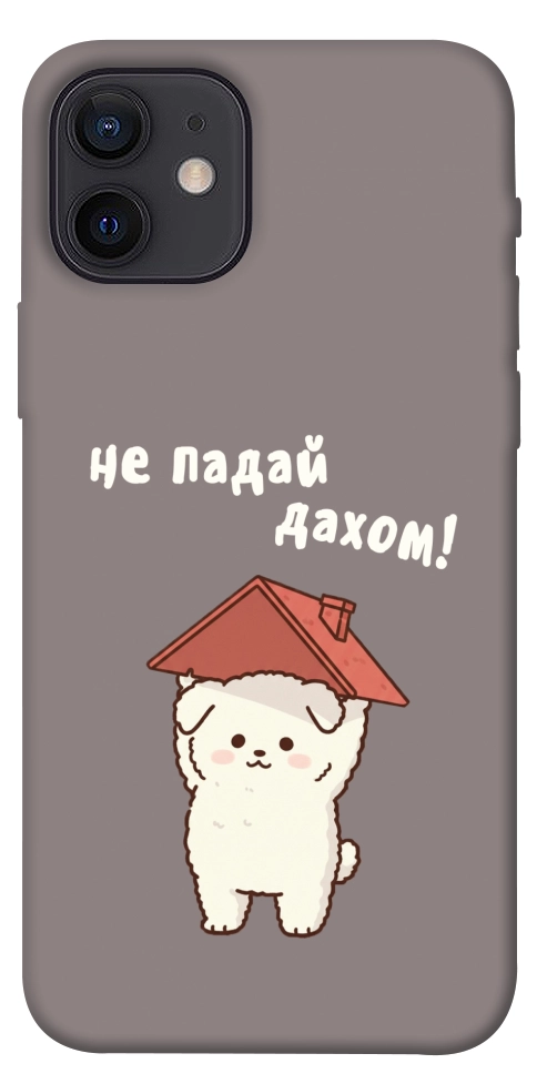 Чохол Не падай дахом для iPhone 12