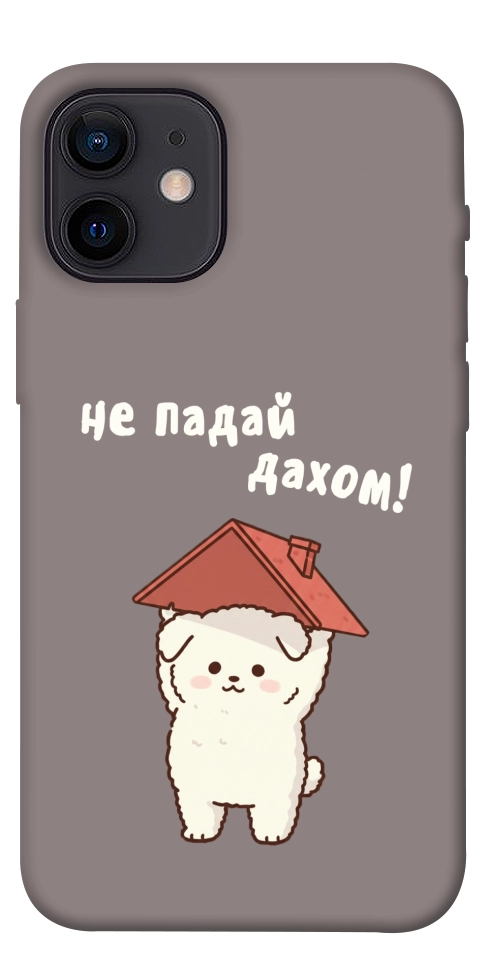 Чехол Не падай дахом для iPhone 12 mini