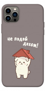 Чохол Не падай дахом для iPhone 12 Pro