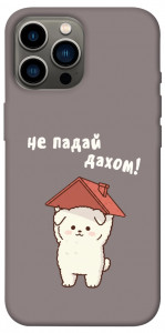 Чехол Не падай дахом для iPhone 13 Pro Max