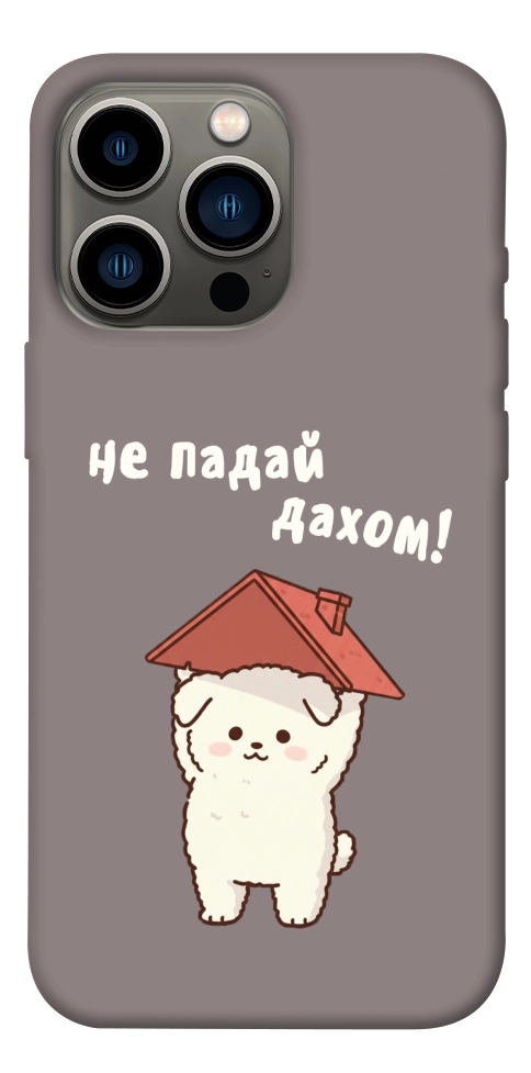 Чохол Не падай дахом для iPhone 13 Pro