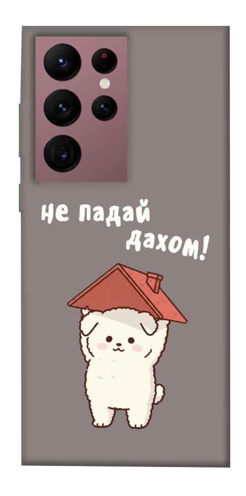 Чехол Не падай дахом для Galaxy S22 Ultra