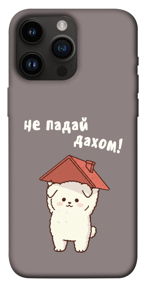 Чехол Не падай дахом для iPhone 14 Pro Max