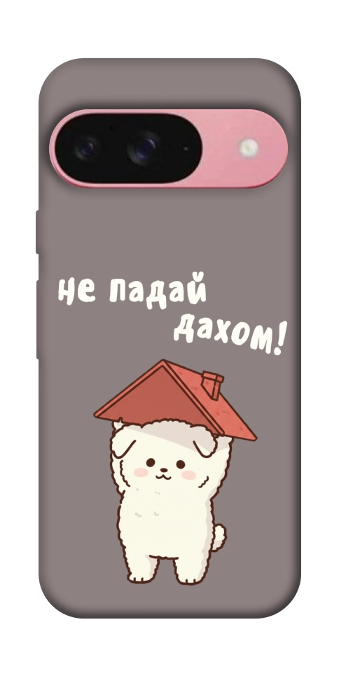 Чохол Не падай дахом для Google Pixel 9